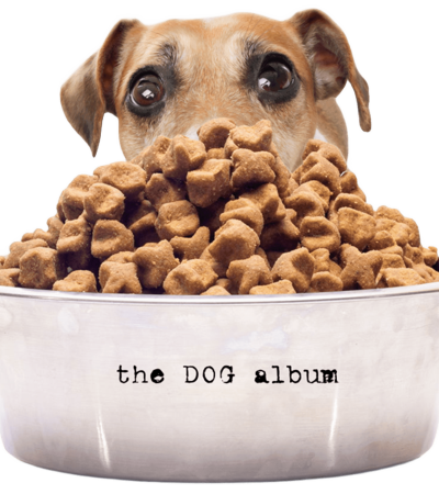 the-dog-album-itunes2